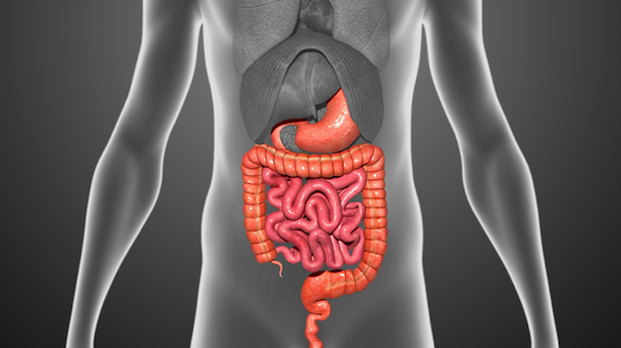 Spanish Study: Switching to Biosimilar Infliximab in IBD Is Safe, Effective at 12 Months