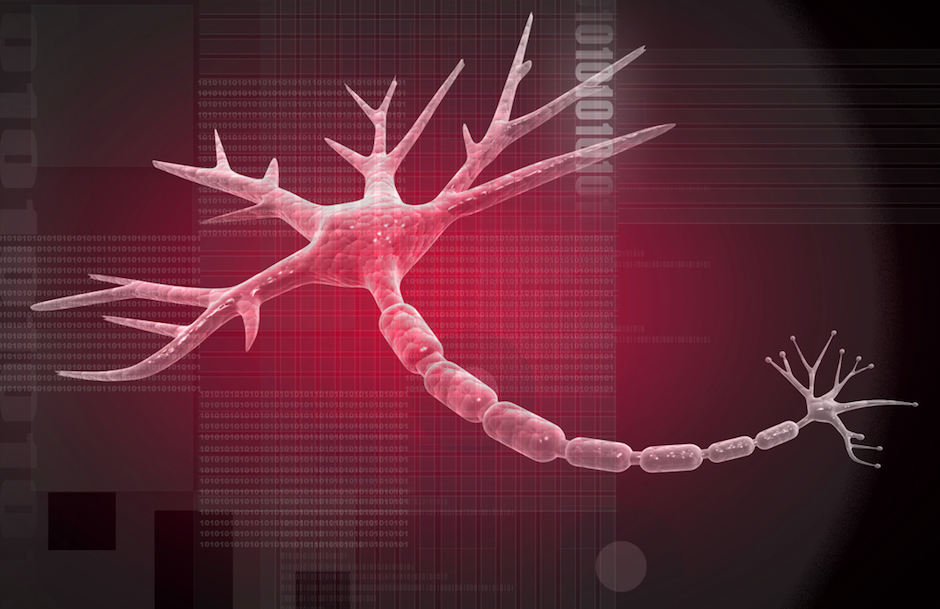 Study Finds Long-Term Rituximab Safe, Effective in Treating Autoimmune Neurological Diseases