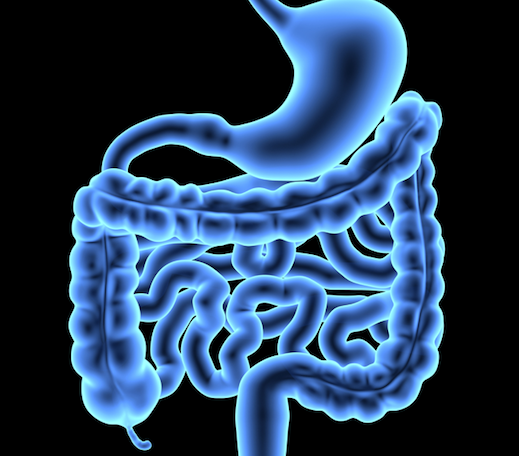 Adalimumab Effective in Treating Stricturing Crohn Disease