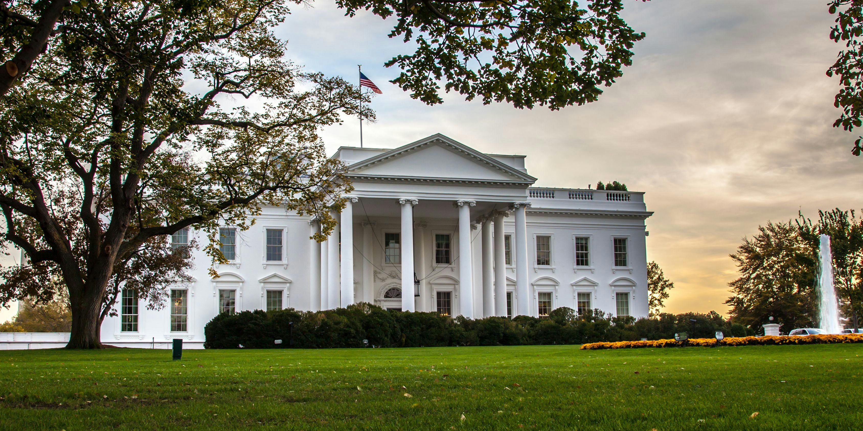 image of the white house with a tree branch in the foreground