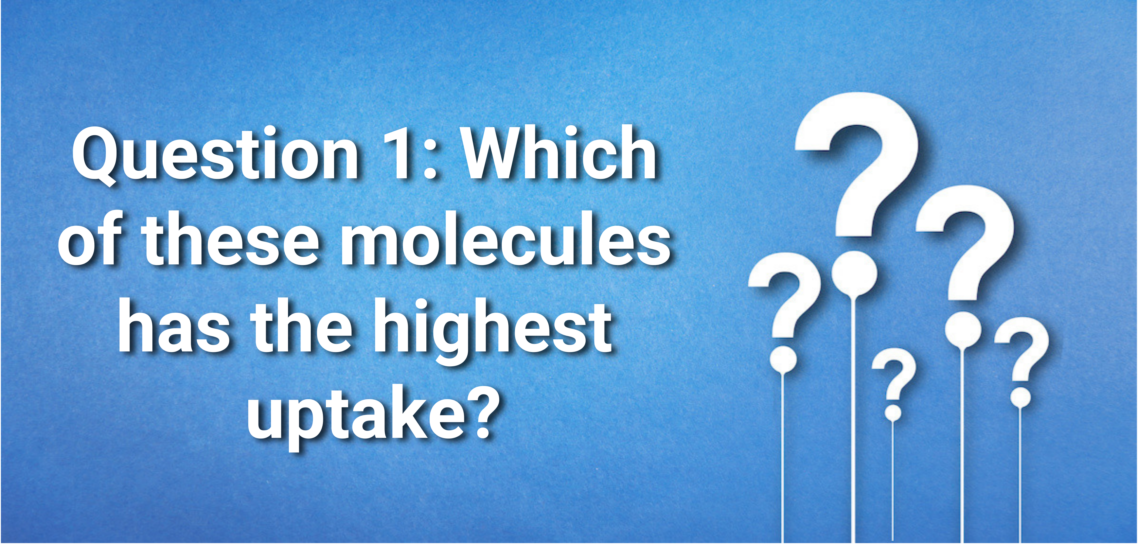 Question 1: Which of these molecules has the highest uptake?