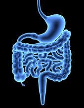 Study in Patients With IBD Finds Good Long-Term Efficacy of CT-P13