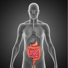 New Research Finds Switching to CT-P13 Is Safe in IBD, and So Is Switching to the Reference