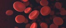 Biosimilar Epoetin Alfa Improves Both Hemoglobin Levels and Quality of Life