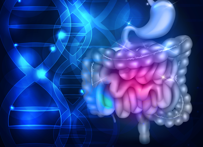 clipart images of dna and intestines to represent inflammatory bowel disease