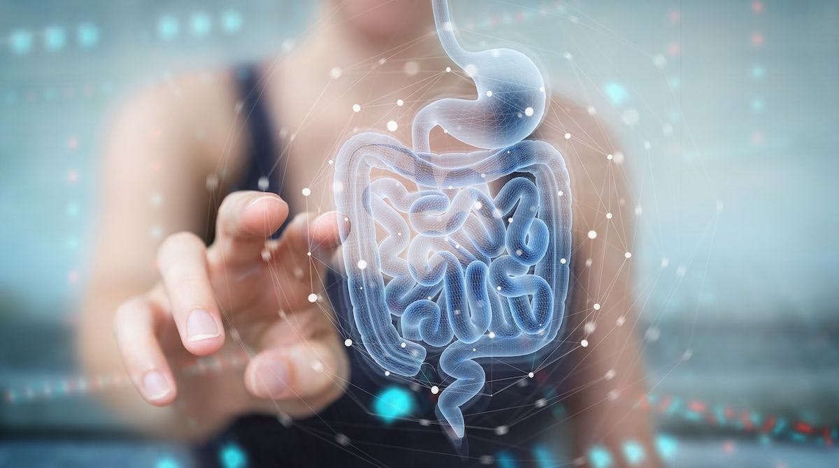 Woman touching screen with digestive tract| Image credit: sdecoret - stock.adobe.com