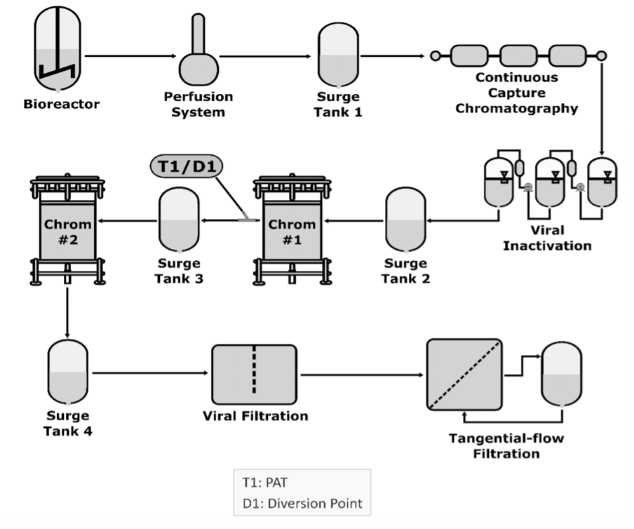 A model of the steps using bioreactors for pharmaceutical development