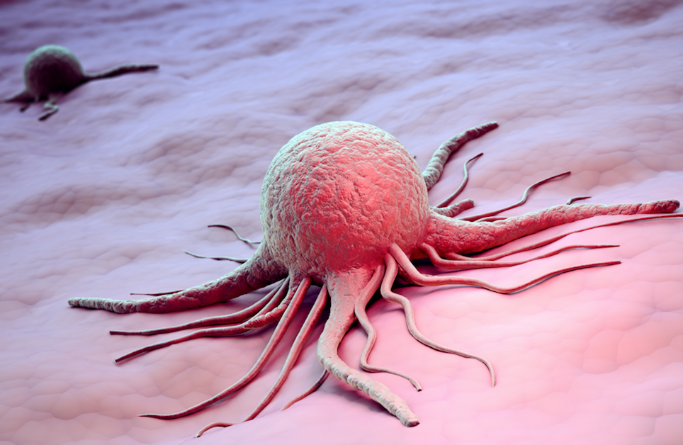 Researchers Report Findings on Three Biosimilar Trastuzumab Products