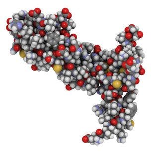 Bio-Thera's Bevacizumab Shows High Similarity to Reference Avastin in PK, Safety, Immunogenicity